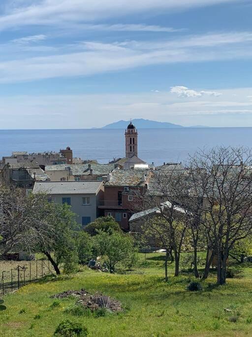 Magnifique Maison Avec Vue Mer Hauteur De Bastia Bastiya Dış mekan fotoğraf
